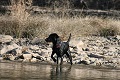 vader at the brazos